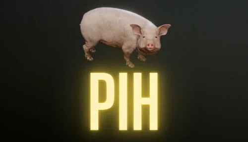 Pih