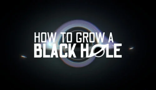 How To Grow a Black Hole